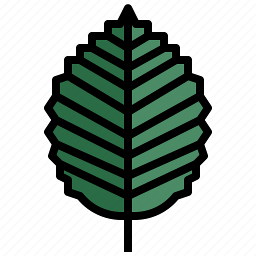 Tree, botanical, leaf, plant, nature icon - Download on Iconfinder