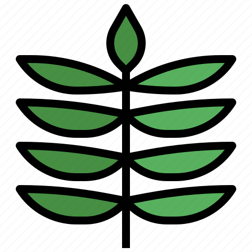 Rowan, leaf, plant, garden, botanical icon - Download on Iconfinder