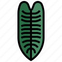 sharoniae, philodendron, xanadu, leaf, plant, nature 