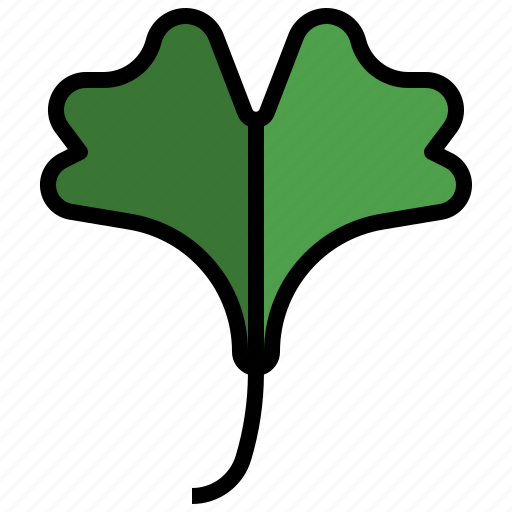 Ginkgo, plant, healthcare, and, medical, leaves, autumn icon - Download on Iconfinder