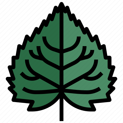 Linden, nature, tree, botanical, leaf icon - Download on Iconfinder