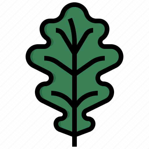 Oak, leaf, botanical, leaves, autumn icon - Download on Iconfinder