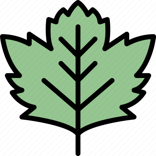 Autumn, eco, leaf, nature, plant, sycamore, tree icon - Download on Iconfinder