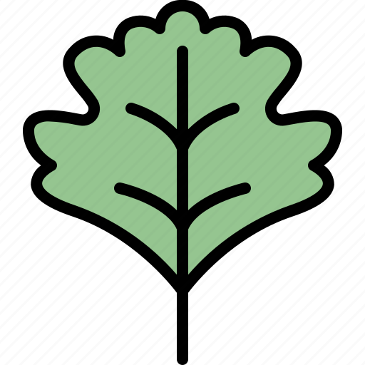 Autumn, eco, hawthorn, leaf, nature, plant, tree icon - Download on Iconfinder