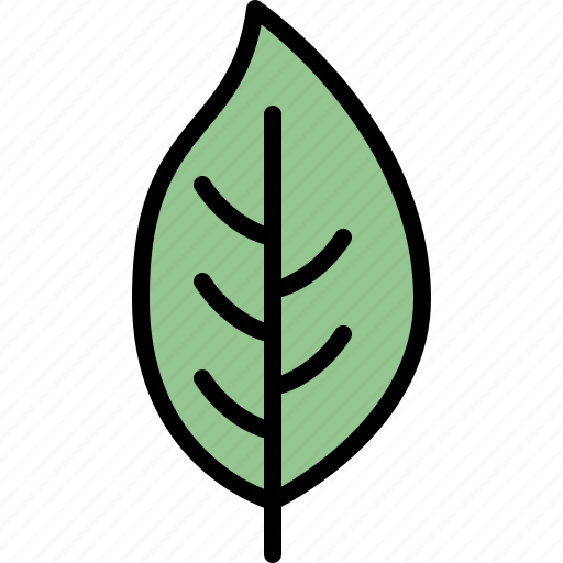 Autumn, dogwood, eco, leaf, nature, plant, tree icon - Download on Iconfinder