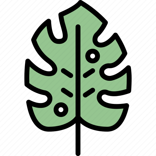 Autumn, eco, leaf, monstera, nature, plant, tree icon - Download on Iconfinder