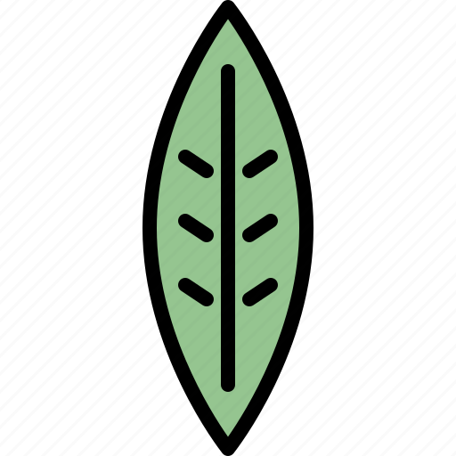 Autumn, eco, leaf, nature, plant, tree, willow icon - Download on Iconfinder