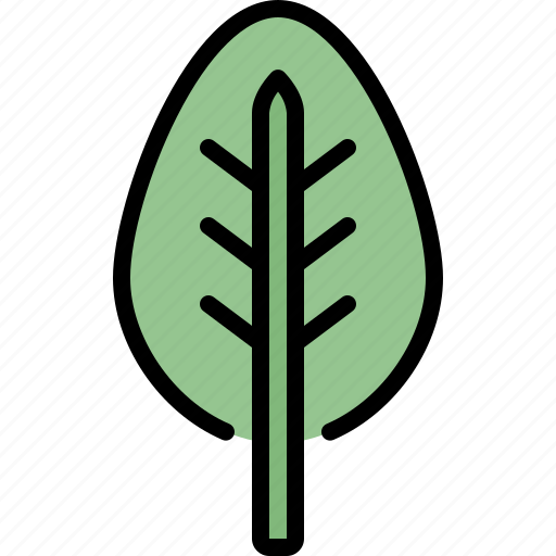 Autumn, eco, leaf, nature, plant, spinach, tree icon - Download on Iconfinder