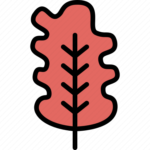 Autumn, eco, leaf, nature, oak, plant, tree icon - Download on Iconfinder