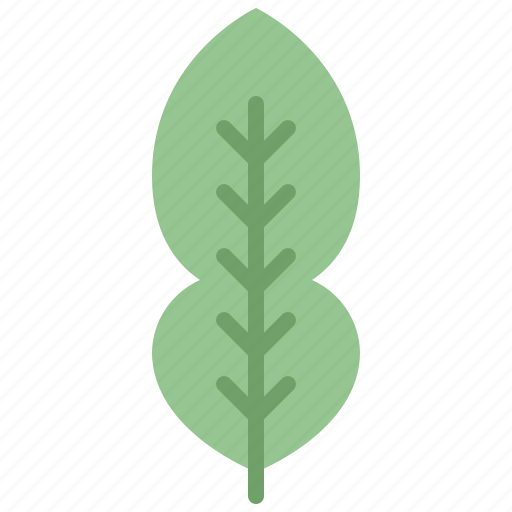 Autumn, eco, kaffir, leaf, lime, nature, plant icon - Download on Iconfinder