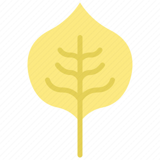 Autumn, eco, leaf, nature, plant, poplar, tree icon - Download on Iconfinder