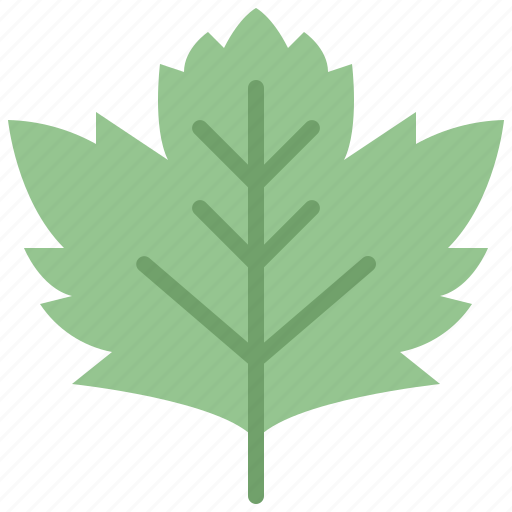 Autumn, eco, leaf, nature, plant, sycamore, tree icon - Download on Iconfinder
