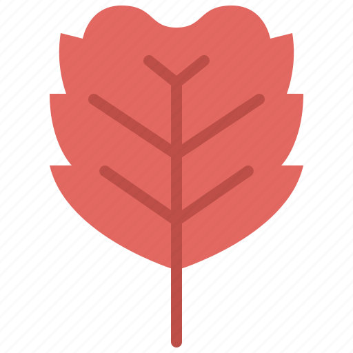 Alder, autumn, eco, leaf, nature, plant, tree icon - Download on Iconfinder