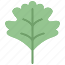 autumn, eco, hawthorn, leaf, nature, plant, tree
