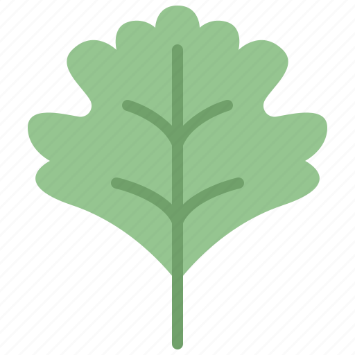 Autumn, eco, hawthorn, leaf, nature, plant, tree icon - Download on Iconfinder
