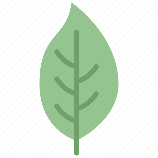 Autumn, dogwood, eco, leaf, nature, plant, tree icon - Download on Iconfinder