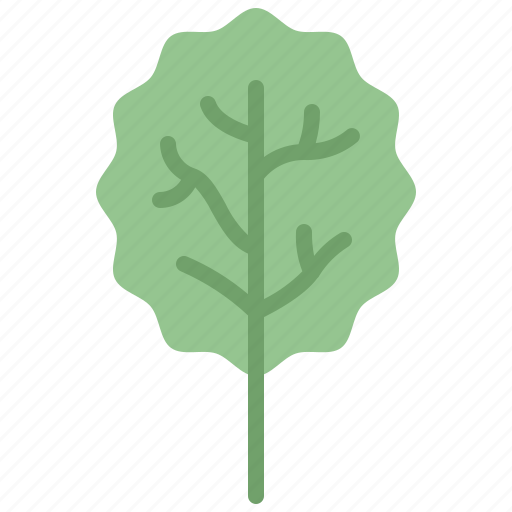 Aspen, autumn, eco, leaf, nature, plant, tree icon - Download on Iconfinder