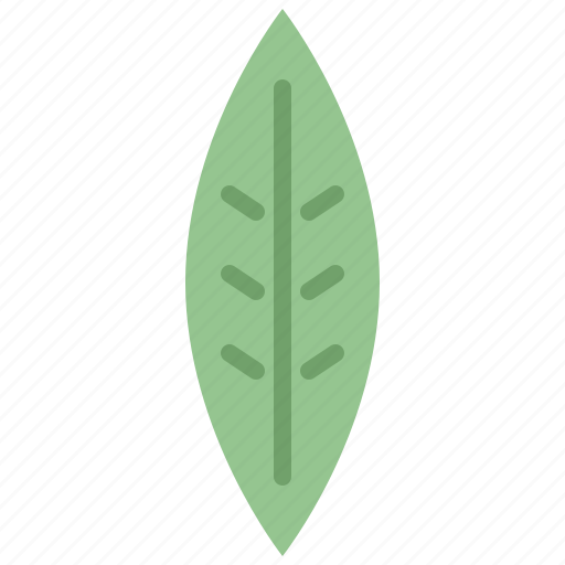 Autumn, eco, leaf, nature, plant, tree, willow icon - Download on Iconfinder