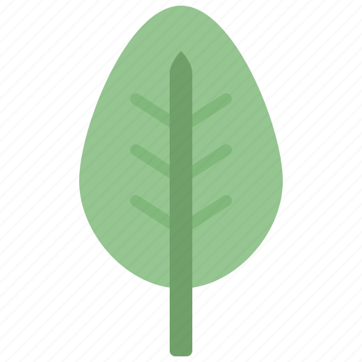 Autumn, eco, leaf, nature, plant, spinach, tree icon - Download on Iconfinder