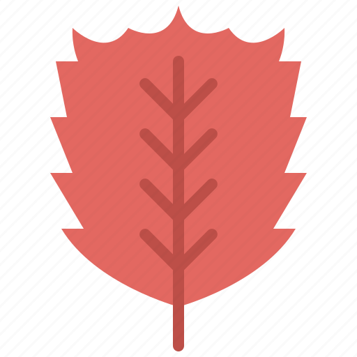 Autumn, eco, elm, leaf, nature, plant, tree icon - Download on Iconfinder