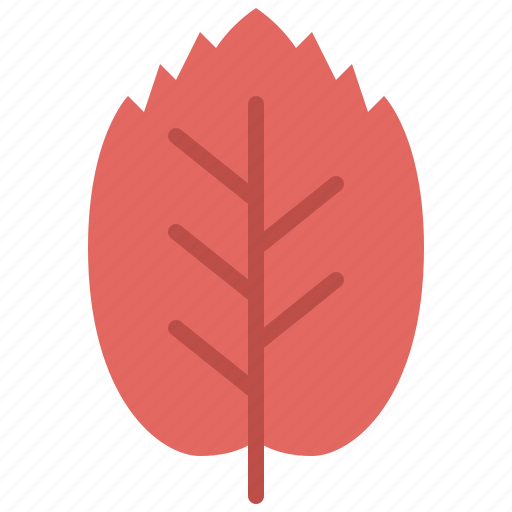 Autumn, beech, eco, leaf, nature, plant, tree icon - Download on Iconfinder