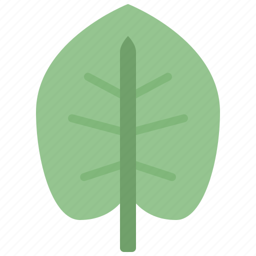 Autumn, ear, eco, elephant, leaf, nature, plant icon - Download on Iconfinder