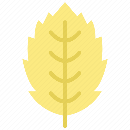 Autumn, eco, hornbeam, leaf, nature, plant, tree icon - Download on Iconfinder