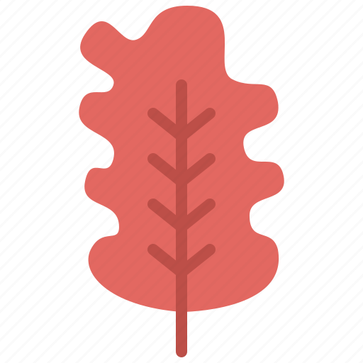 Autumn, eco, leaf, nature, oak, plant, tree icon - Download on Iconfinder