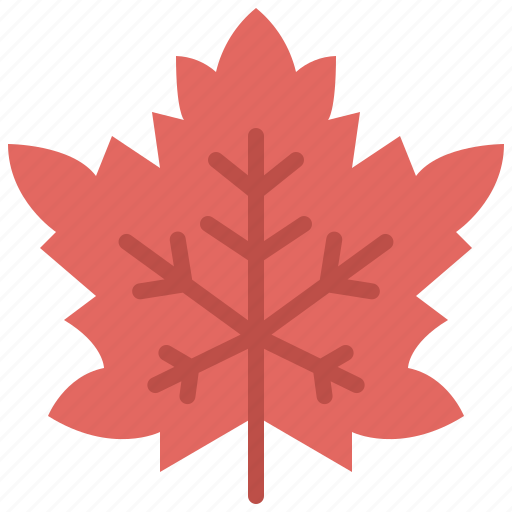 Autumn, eco, leaf, maple, nature, plant, tree icon - Download on Iconfinder