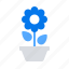 flower, home, pot 