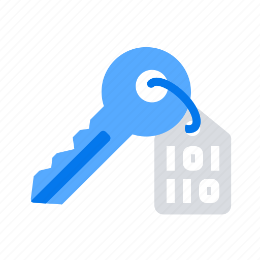 Data, encryption, key icon - Download on Iconfinder