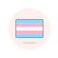 flag, transgender 