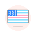 flag, transgender, usa 