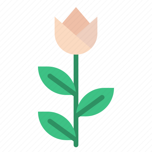 Blossom, flower, lifestyle, nature icon - Download on Iconfinder