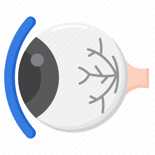 Optics, eye, vision icon - Download on Iconfinder
