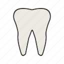 tooth, healthcare, dental, medical
