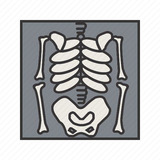 Skeleton, bones, x ray, skull icon - Download on Iconfinder