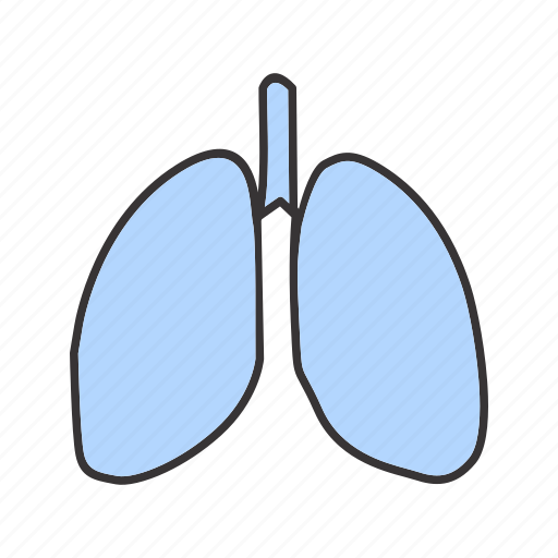 Lungs, healthcare, medical, anatomy, health icon - Download on Iconfinder