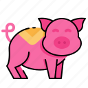pork, zodiac, pig, animal