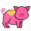 pork, zodiac, pig, animal 