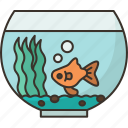 aquarium, fish, pet, room, decoration