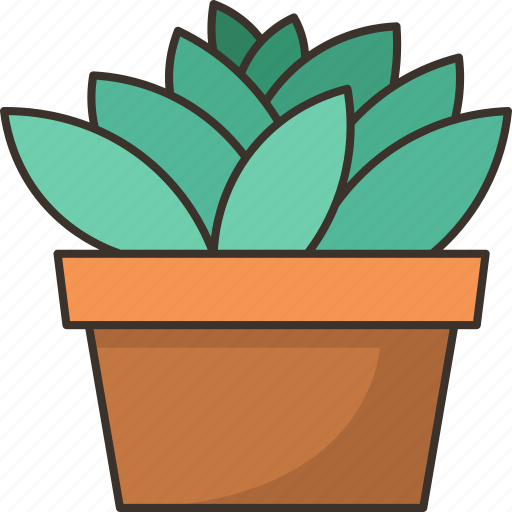 Cactus, plant, garden, decoration, nature icon - Download on Iconfinder