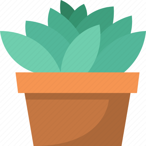 Cactus, plant, garden, decoration, nature icon - Download on Iconfinder
