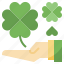 clover, good, leaf, luck, nature, plant, shamrock 