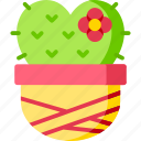cactus, plant, nature, heart, valentine