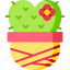 cactus, plant, nature, heart, valentine 