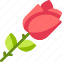 rose, love, romantic, valentines day, flower, gift, dating