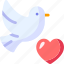 love, romantic, valentines day, heart, dove, bird 