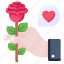 rose, propose, flower, floral, valentine propose 