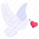 pigeon, post pigeon, bird, love bird, creature